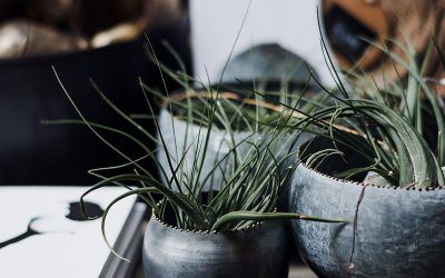 ¿Qué es Lorem Ipsum?